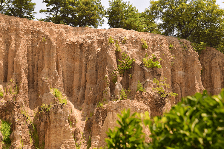 阿波の土柱（阿波市）