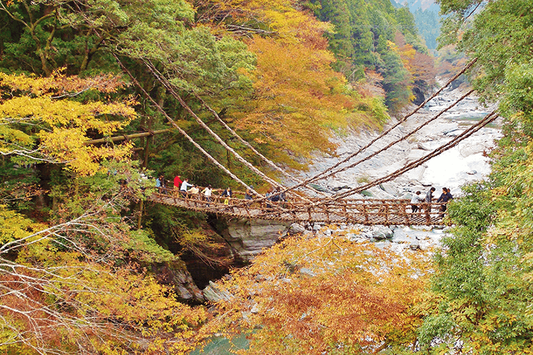 祖谷のかずら橋（三好市）